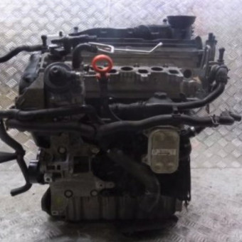 VW Engines : Fits ALL: VW / Audi / PASSAT / GOLF / A4 2.0 TDI 16V CFFD Diesel Engine