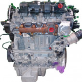 REBUILD : 1.5 Focus Engine Ford EcoBlue (2018-ON) ZTDA 2018-ON (120 BHP+) Diesel Engine + Fitting optional as shown...